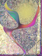 experiments
