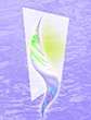 experiments